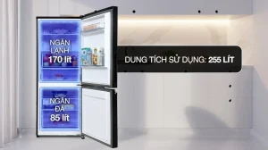 Dung Tích Lớn Sử Dụng Lớn Lên Đến Tận 255L