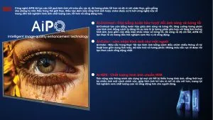 VSP Smart Tivi 65inch