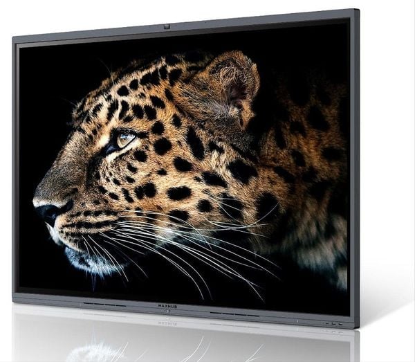 EG75DP 4k UHD Sắc Nét 