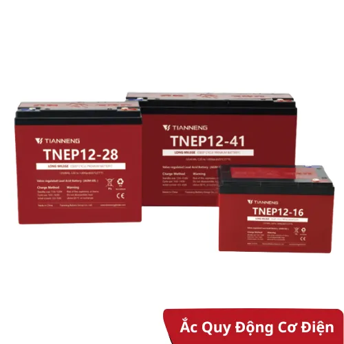 Ắc quy động cơ điện Tianneng TNEP Series